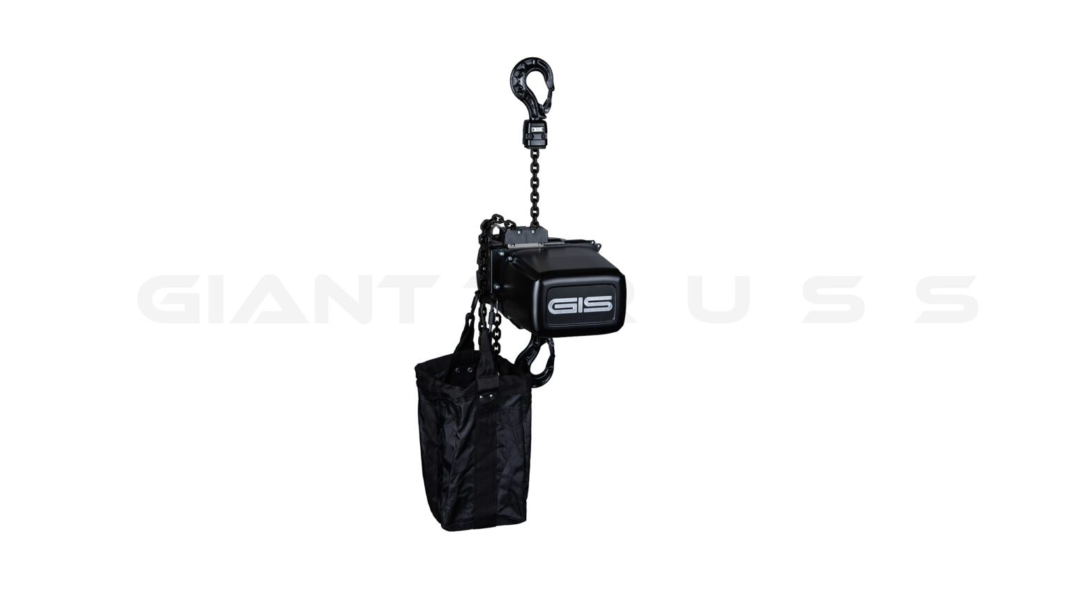 Electric chain hoist